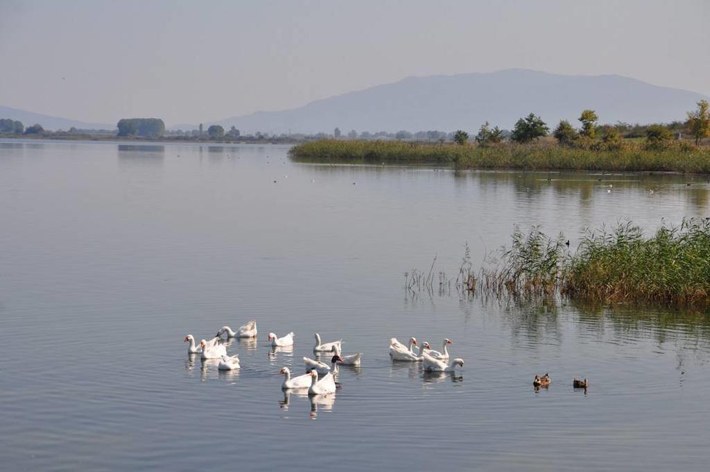 Philoxenia Beach Vrasná Dış mekan fotoğraf